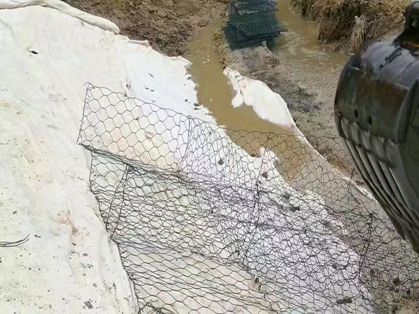 高爾凡雷諾護墊